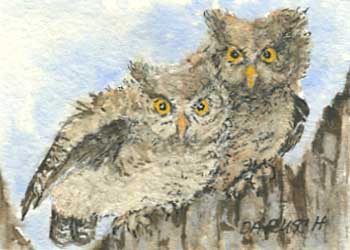 "Who's Who?  Great Horned Owlets" by Doris A Rusch, Fort Atkinson WI - Watercolor & Pencil